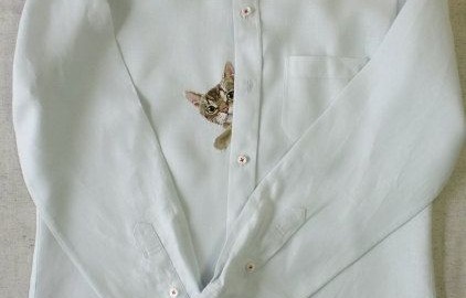 Котик в нагрудном кармане