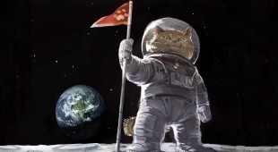 Кошки в космосе