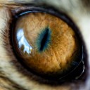 Кошачий глаз — настоящая галактика