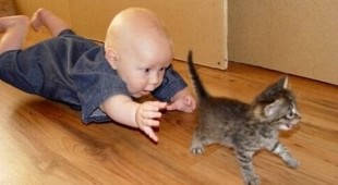 Двойное мимими: кошки и маленькие детки